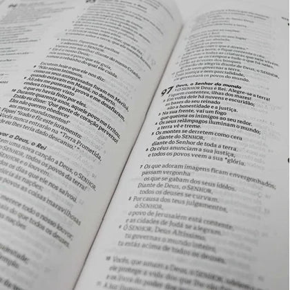 Lamb and Lion Bible - NTLH - Normal Print - Hard Cover 