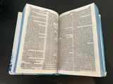 Biblia NVI  Glitter Flores Azuis