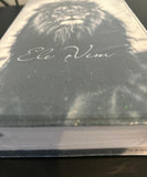 Biblia ARC Glitter Leao Ele vem - Harpa