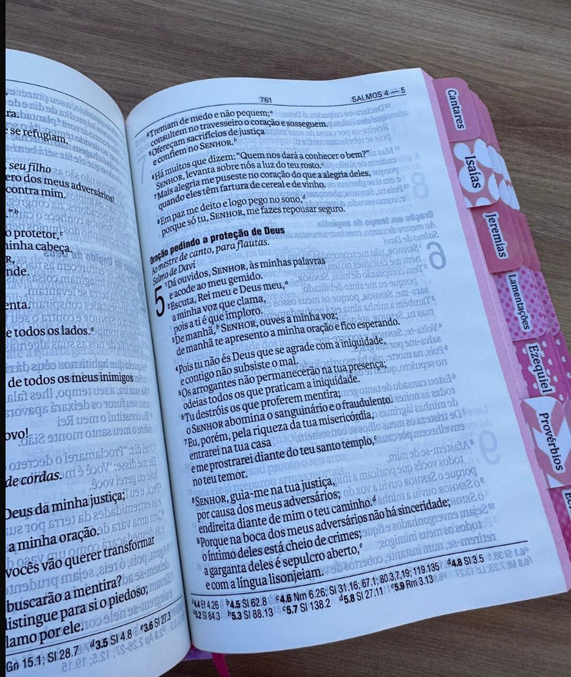 Biblia NTLH da Garota com Abas coladas